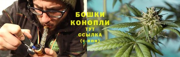 гидропоника Няндома