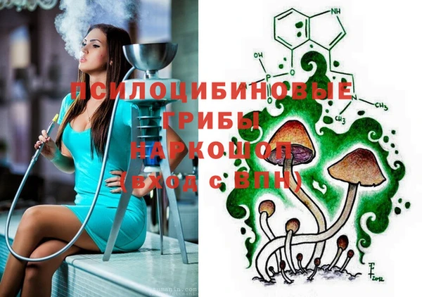 гидропоника Нягань