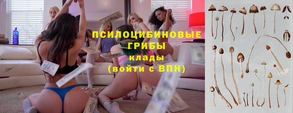 гидропоника Няндома