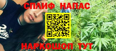 мдпв Обь