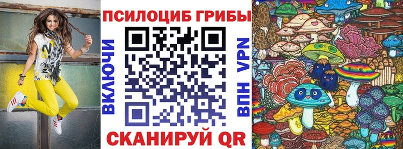 Псилоцибиновые грибы Magic Shrooms  Чита 