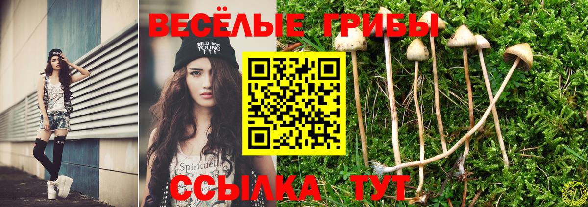 Галлюциногенные грибы ЛСД Чита