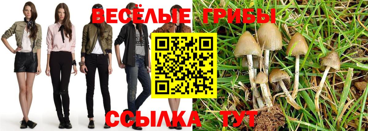 где можно купить   Вход с VPN  Галлюциногенные грибы MAGIC MUSHROOMS  Чита  Галлюциногенные грибы Cubensis 